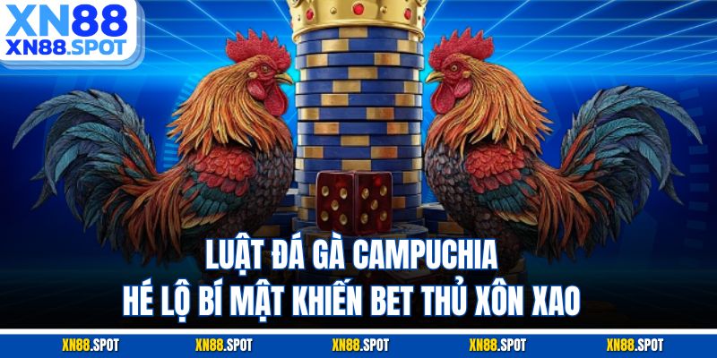 Luật Đá Gà Campuchia – Hé Lộ Bí Mật Khiến Bet Thủ Xôn Xao